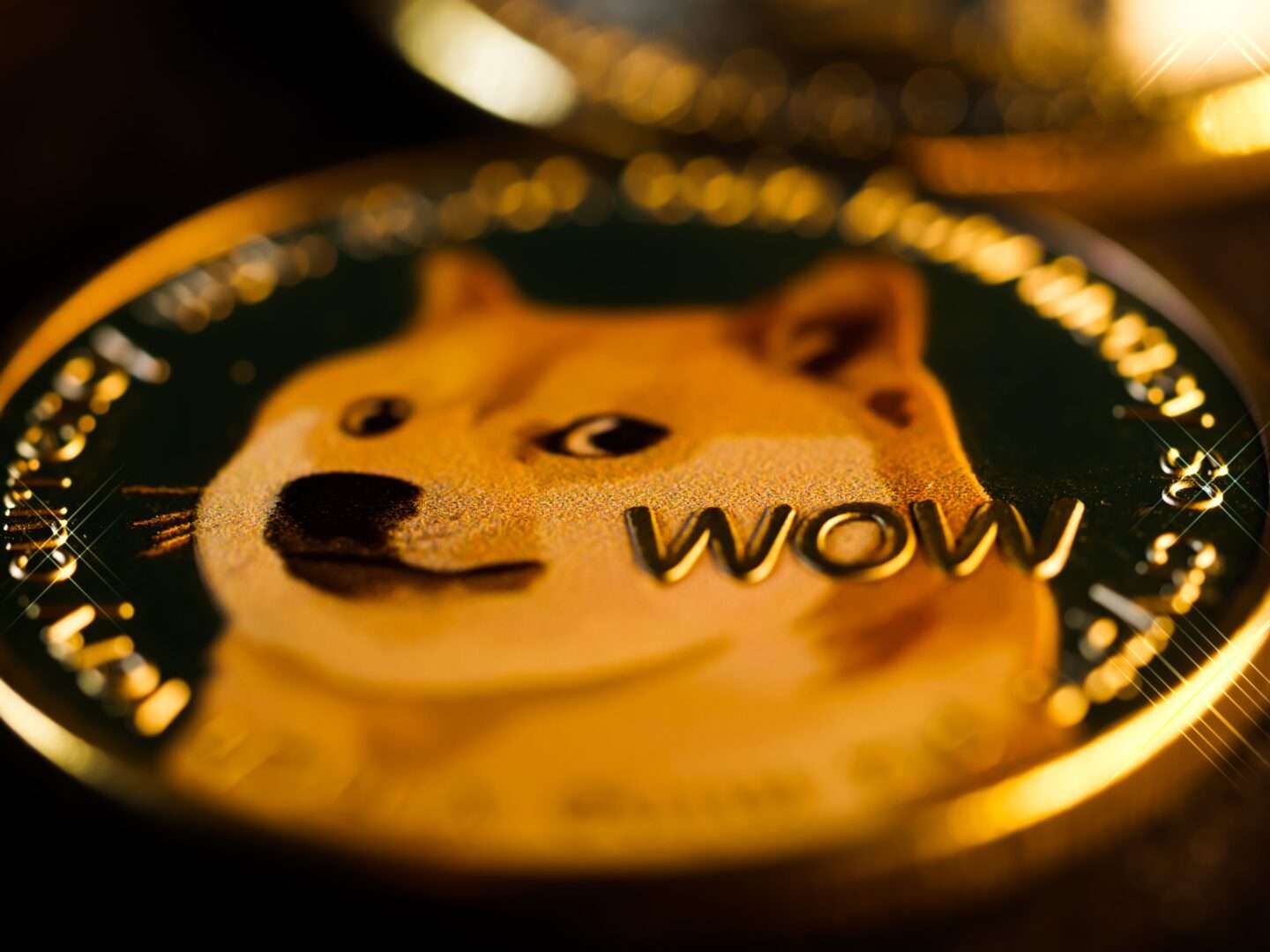 Close-up of a physical Dogecoin coin featuring the Shiba Inu dog